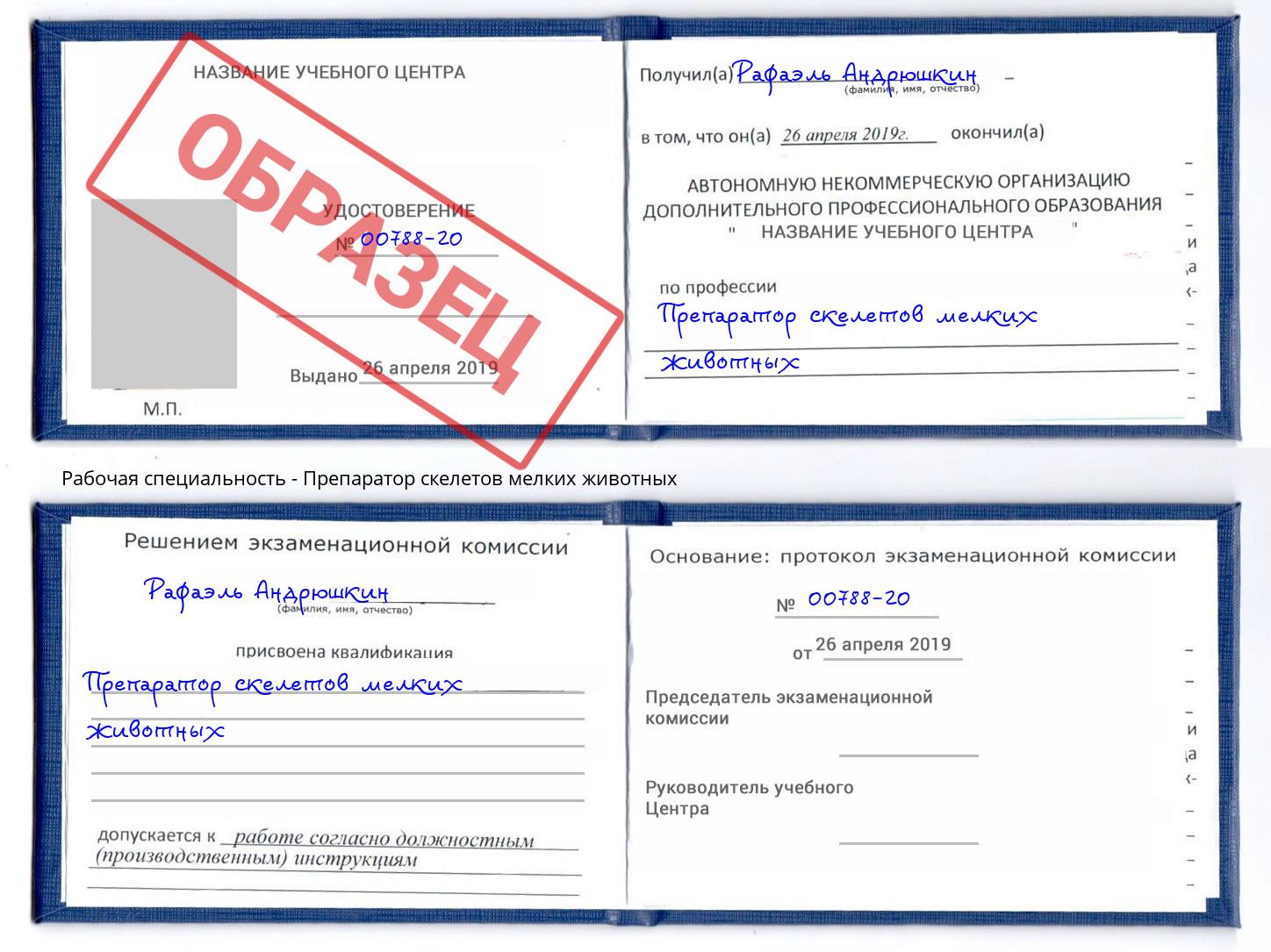 Препаратор скелетов мелких животных Курск