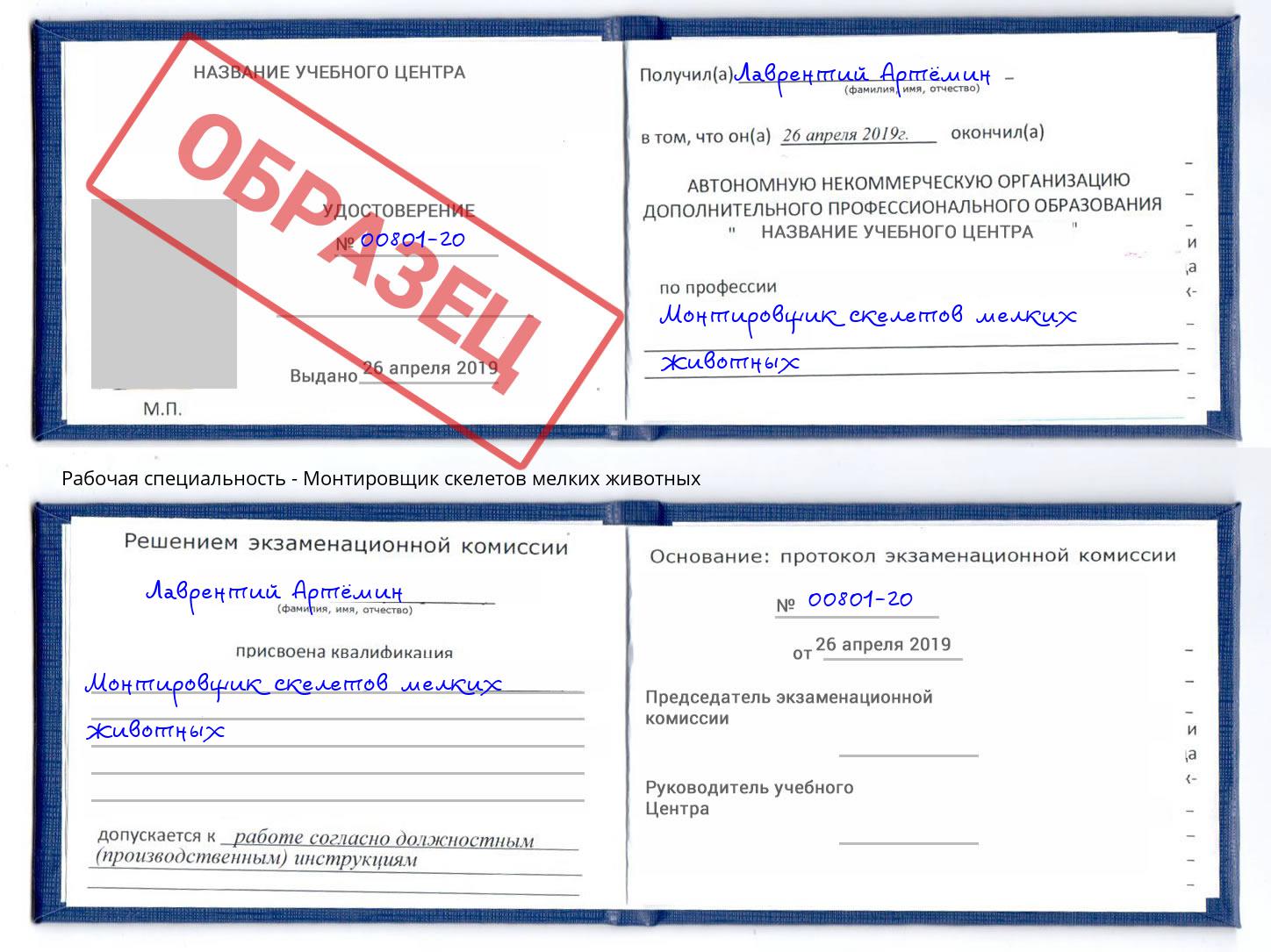 Монтировщик скелетов мелких животных Курск